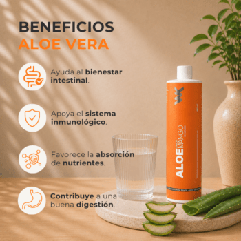 Alternative view of Aloe vera bebida